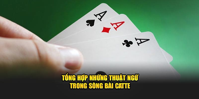 tong-hop-nhung-thuat-ngu-trong-song-bai-catte